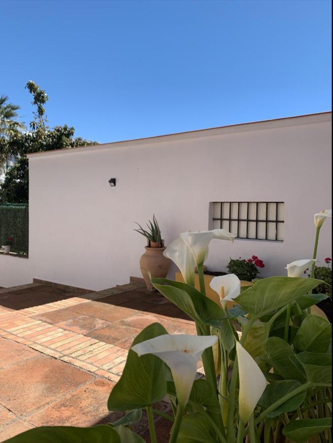 A Estrenar Preciosa Suite-Centrico-Con Jardin Y Porche 托雷莫利诺斯 外观 照片